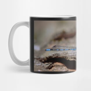 Common blue dragonfly Mug